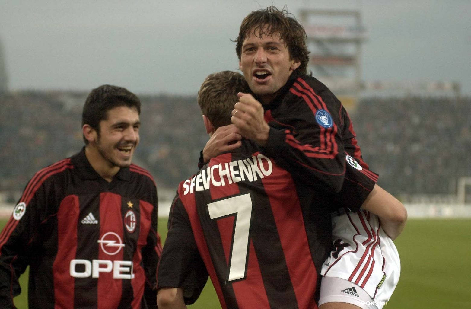 林为主席有 林为主席有